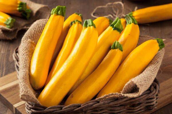 courgette jaune