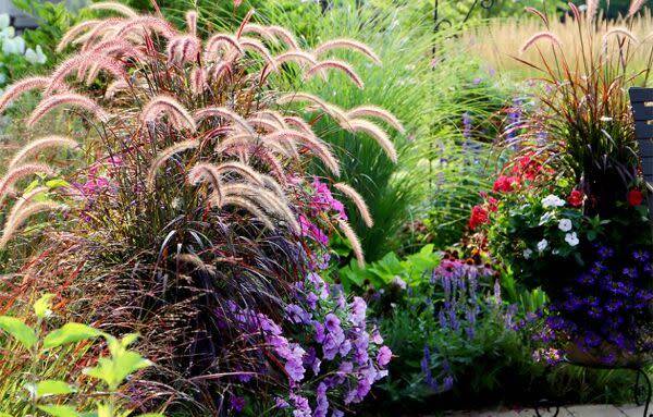 Créer un jardin de graminées