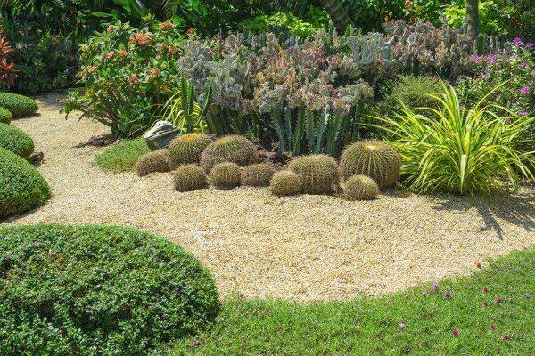 Un jardin en sol sableux