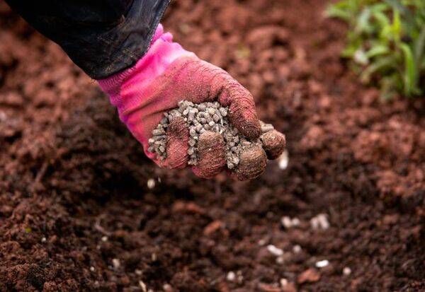 Quel engrais apporter au jardin en automne ? ©Maksims - stock.adobe.com
