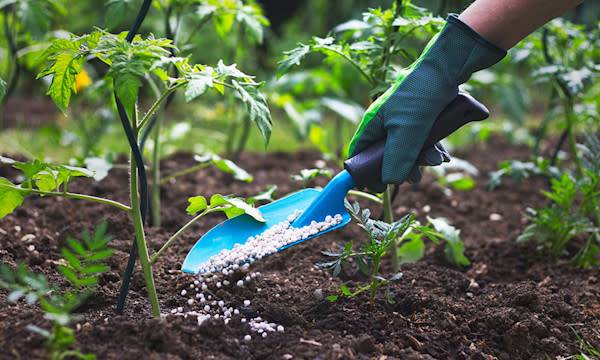 Choisir son engrais pour son jardin et ses fleurs