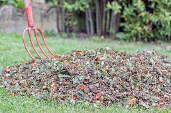 Fabriquer du broyat de bois pou pailler le jardin 