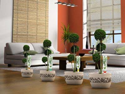 Choisir son système d’arrosage de vacances pour ses plantes d’intérieur