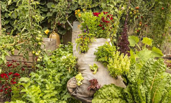 La biodiversité au jardin - © Romain TALON - stock.adobe.com