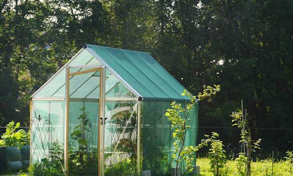 Pourquoi une serre dans son jardin ? - © flucas - stock.adobe.com
