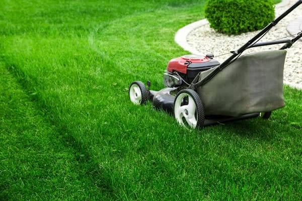 Légères, pratiques, les tondeuses électriques offrent de multiples avantages