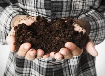 Le terreau est un substrat utile pour vos plantes