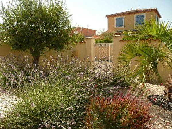 Un jardin sec dans le Gard