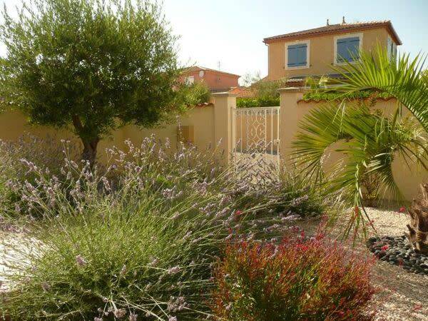 Un jardin sec dans le Gard
