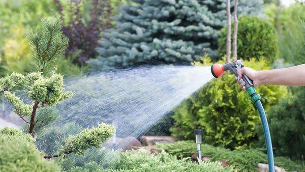 Comment traiter l’eau de pluie pour l’utiliser ?