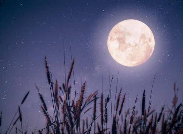 Reconnaitre les phases de la Lune