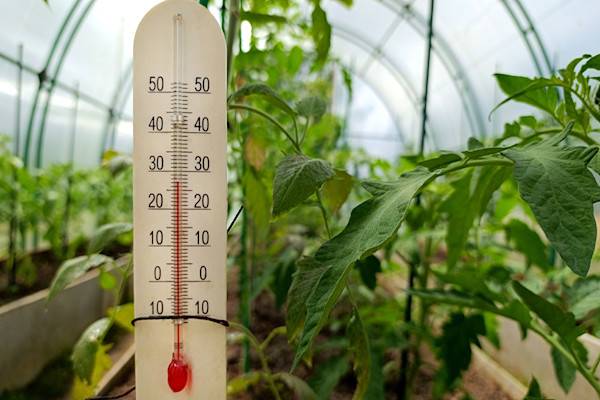 Comment chauffer sa serre de jardin ?