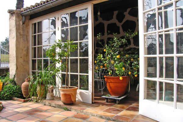 Une orangerie avec des plantes en pot