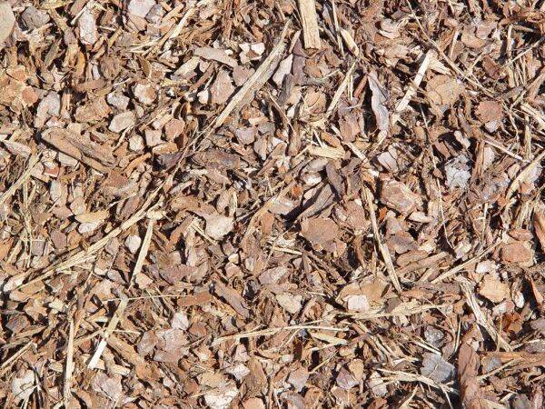Réussir ses paillis d'automne