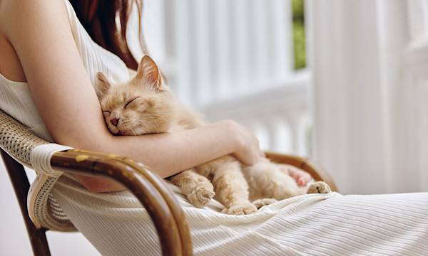 Mon chat m'aime-t-il ?