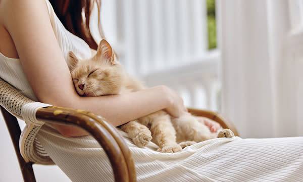 Mon chat m'aime-t-il ?
