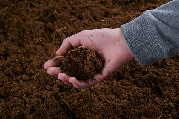 La tourbe est une terre issue des tourbière