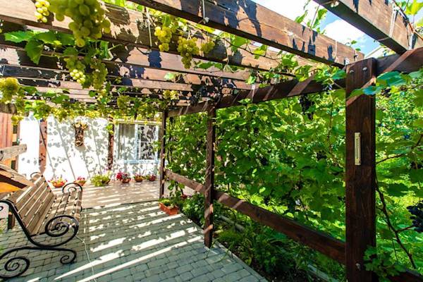 Choisir sa pergola ou tonnelle