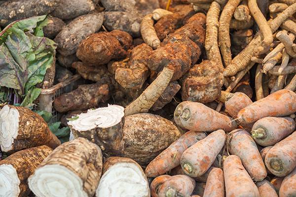 Les pommes de terre ont un tubercule