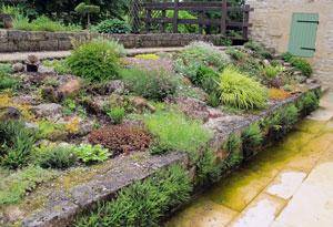 Créer un jardin de rocaille