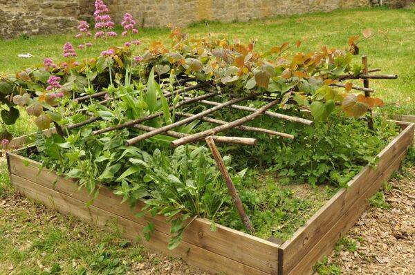 Faire un carré potager en permaculture