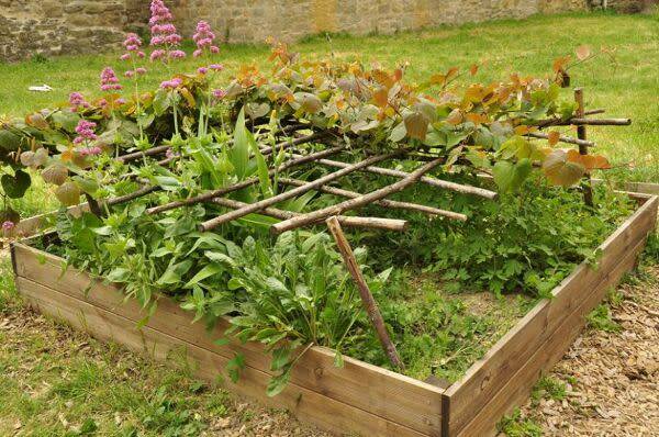 Faire un carré potager en permaculture
