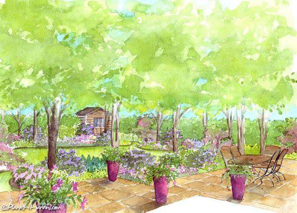 Un jardin boisé paisible, idéal pour se ressourcer
