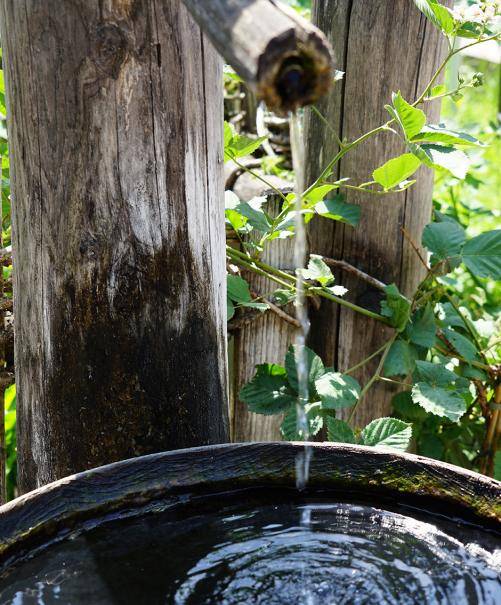 La récupération de l’eau de pluie 