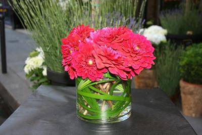 Composez votre bouquet de dahlias