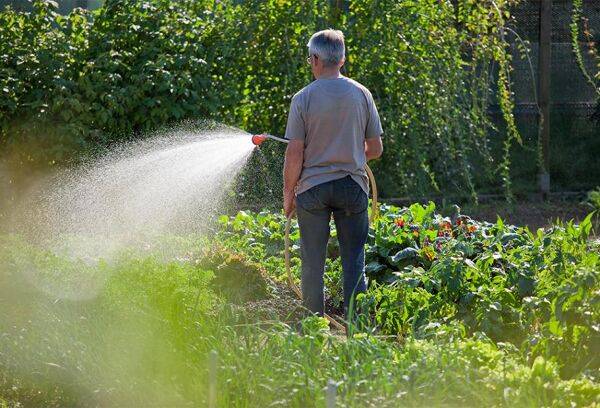 Choisir son récupérateur d'eau de pluie enterré