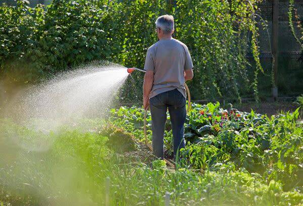 Choisir son récupérateur d'eau de pluie enterré