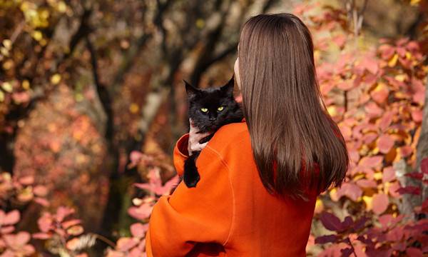 Le mythe du chat noir