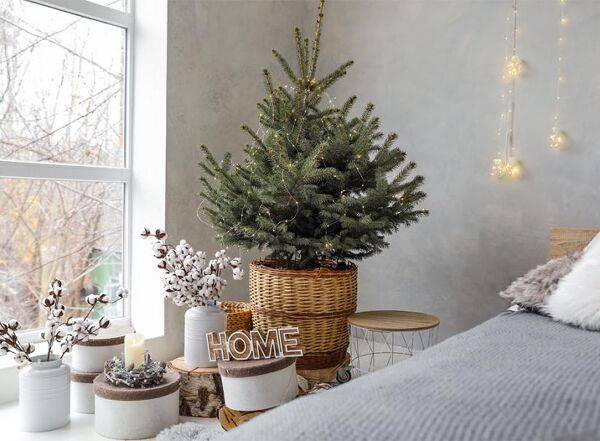 Quel pied pour votre sapin de Noël ?