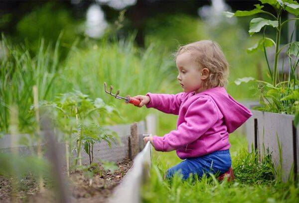 Le potager des enfants