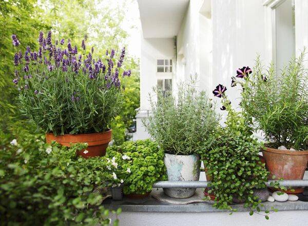 Que faire sur le balcon ou la terrasse en septembre ?