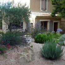 Plantes pour jardin sec