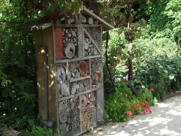 Créez un ''hôtel à insectes''