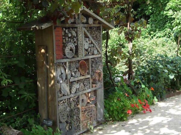 Créez un ''hôtel à insectes''