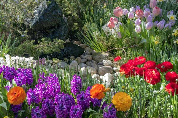 Choisir ses bulbes de printemps