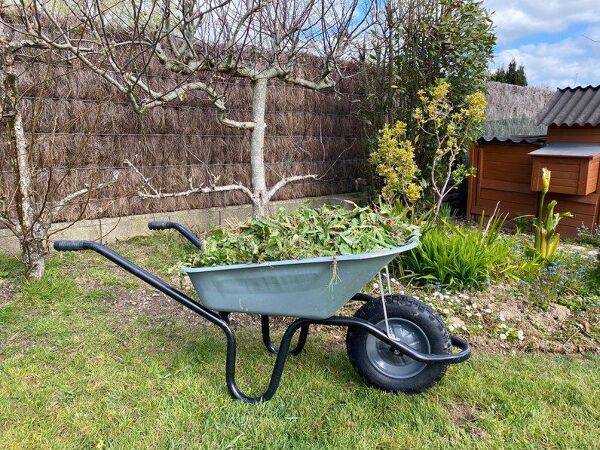 Quels outils pour faciliter le désherbage au jardin ?