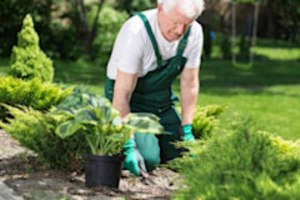 Tenue jardinier
