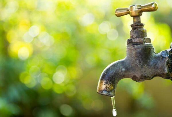 24 recettes pour économiser l'eau au jardin
