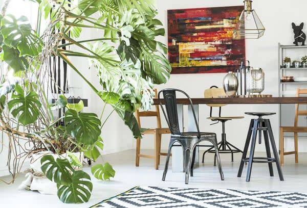 Que faire dans la maison en octobre ?