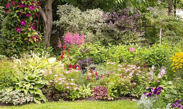 Quelles fleurs planter en mars et en avril ?