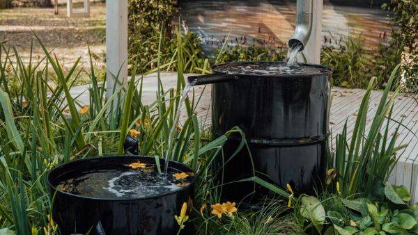 Comment créer un jardin de pluie ?