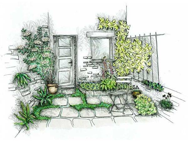Esquisse de la terrasse Colonisation végétale