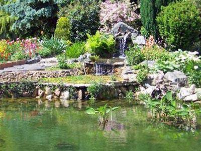 Purifiez votre point d'eau