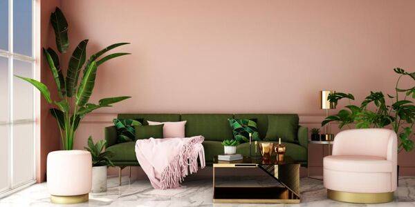 Choisir ses plantes d'intérieur pour le salon et le séjour
