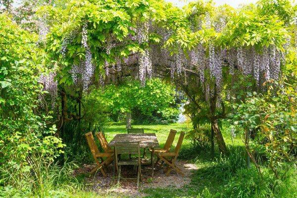 Comment faire un toit à une pergola ?