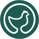 Picto poule
